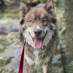 Fundraising Page: Maverick Griffenkranz